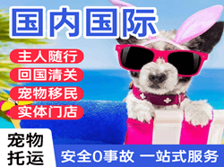 昆明空运公司国际宠物托运 【国